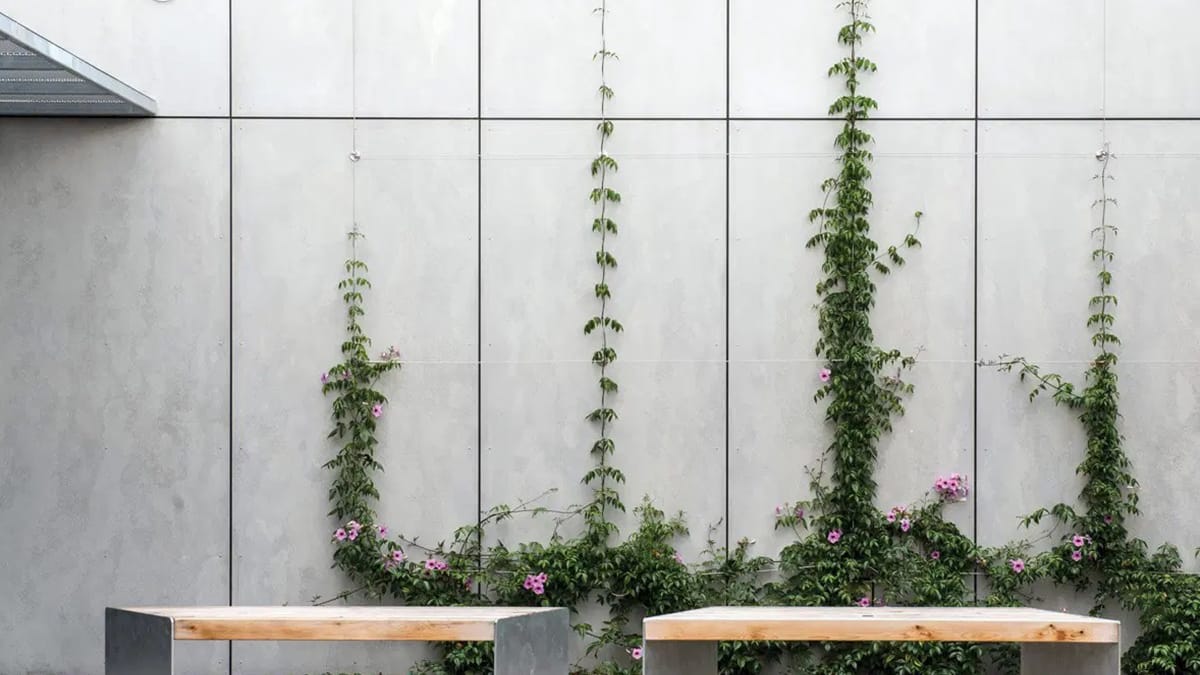 Moisture-Resistant Sheathing Boards Types